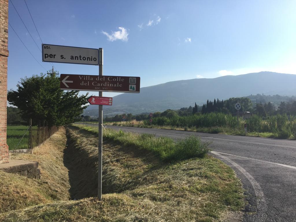 فيلا Rosso Porpora Colle Umberto  المظهر الخارجي الصورة